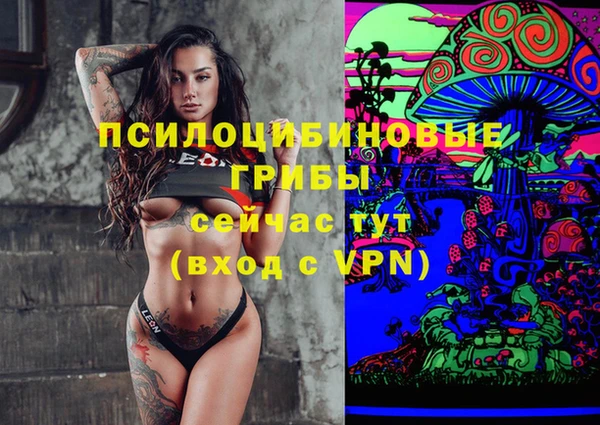 метадон Новодвинск