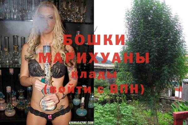 метадон Новодвинск